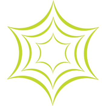 Webstar Client Portal